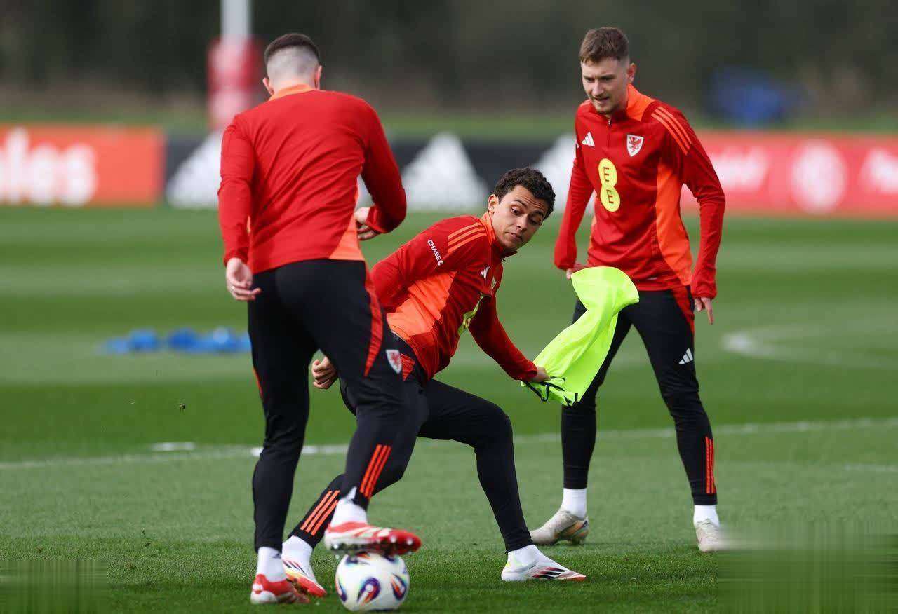 九游APP-比利时备战对阵威尔士，欧洲杯热身赛正酣的简单介绍