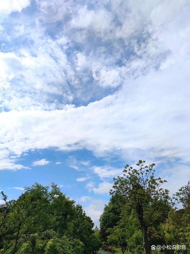 摩洛哥选手追逐梦想，向着目标前行