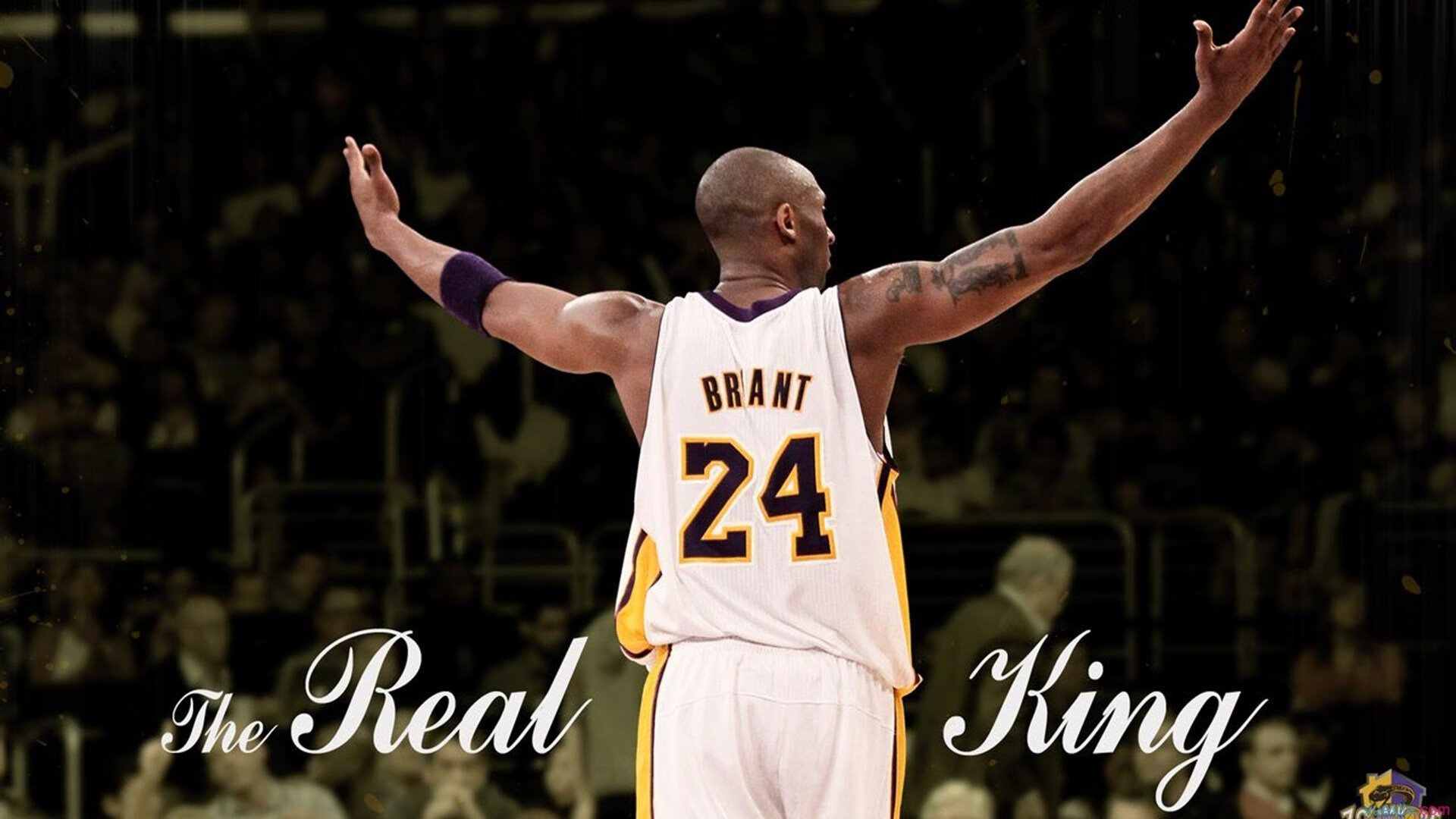 九游APP-绝杀的艺术，当宿命之球与时代之板在空中相遇